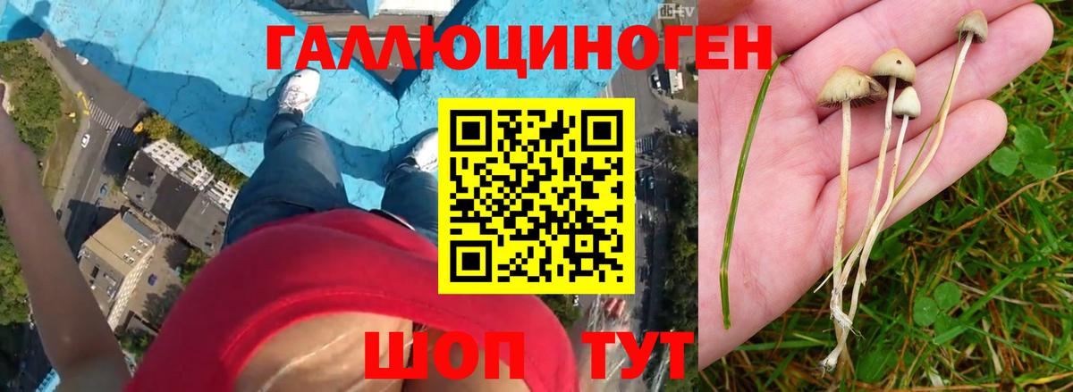 Псилоцибиновые грибы GOLDEN TEACHER Туймазы