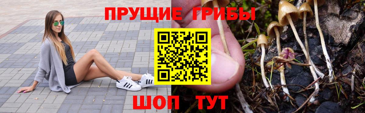 Туймазы  Псилоцибиновые грибы прущие грибы  Вход с VPN 